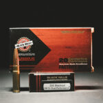 Black Hills Subsonic .300 BLK Dual Performance Hollow Point 198 GR - 20 Round Box