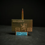 Sellier & Bellot Subsonic 300 BLK 200 GR 20 Round Box - SB300BLKSUBA