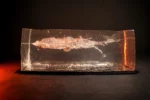 Black Hills .308 Green Tip 175 GR Sierra Tipped MatchKing - (No Tax Outside Az) - Image 2