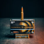 Federal Law Enforcement .308 168 GR TMK Blue Tip - (No Tax Outside AZ)