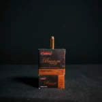 PMC 10MM 170 GR JHP 25 Round Box - 10B