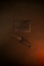 Credit Card Folding Knife - Image 2